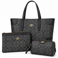 Black Coach Signature Canvas Three-Piece Bag Set — Tote, Pouch & Cosmetic Bag